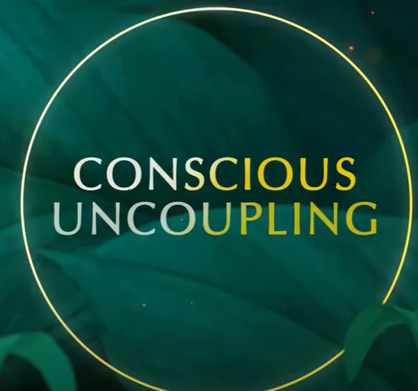 Conscious Uncoupling By Mindvalley