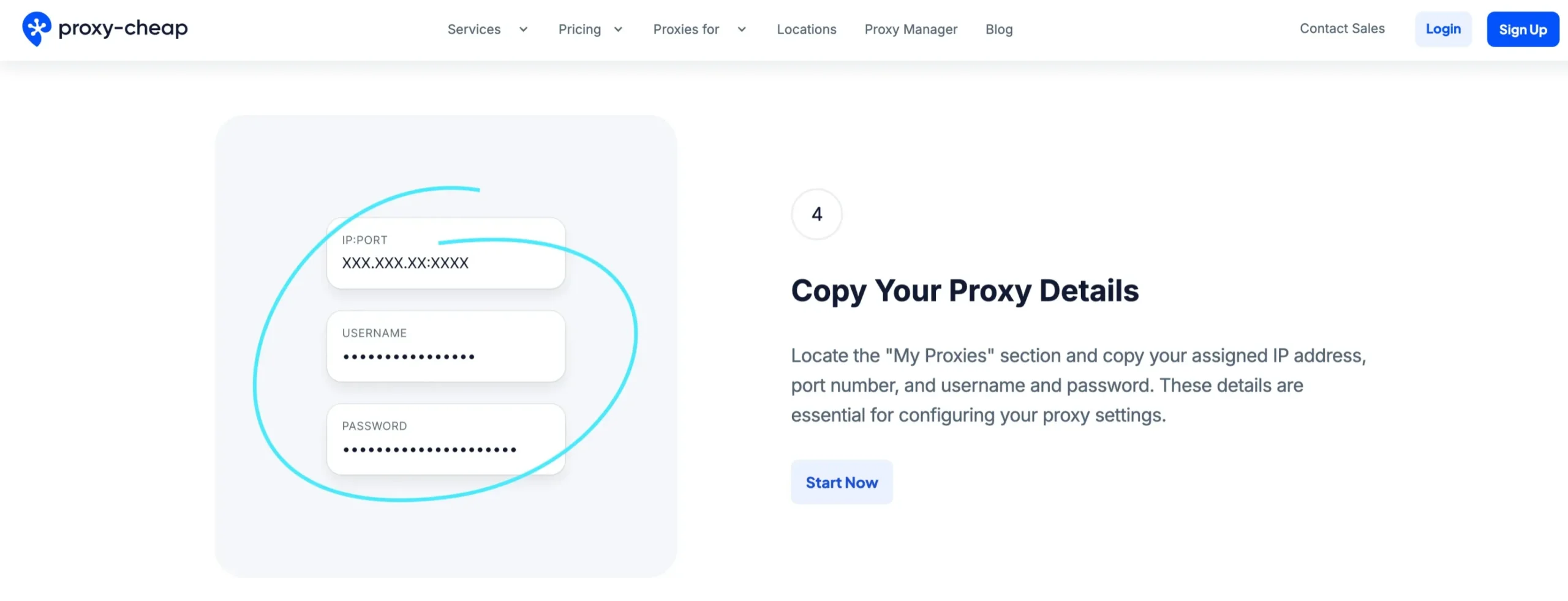 Grab Your Proxy Details