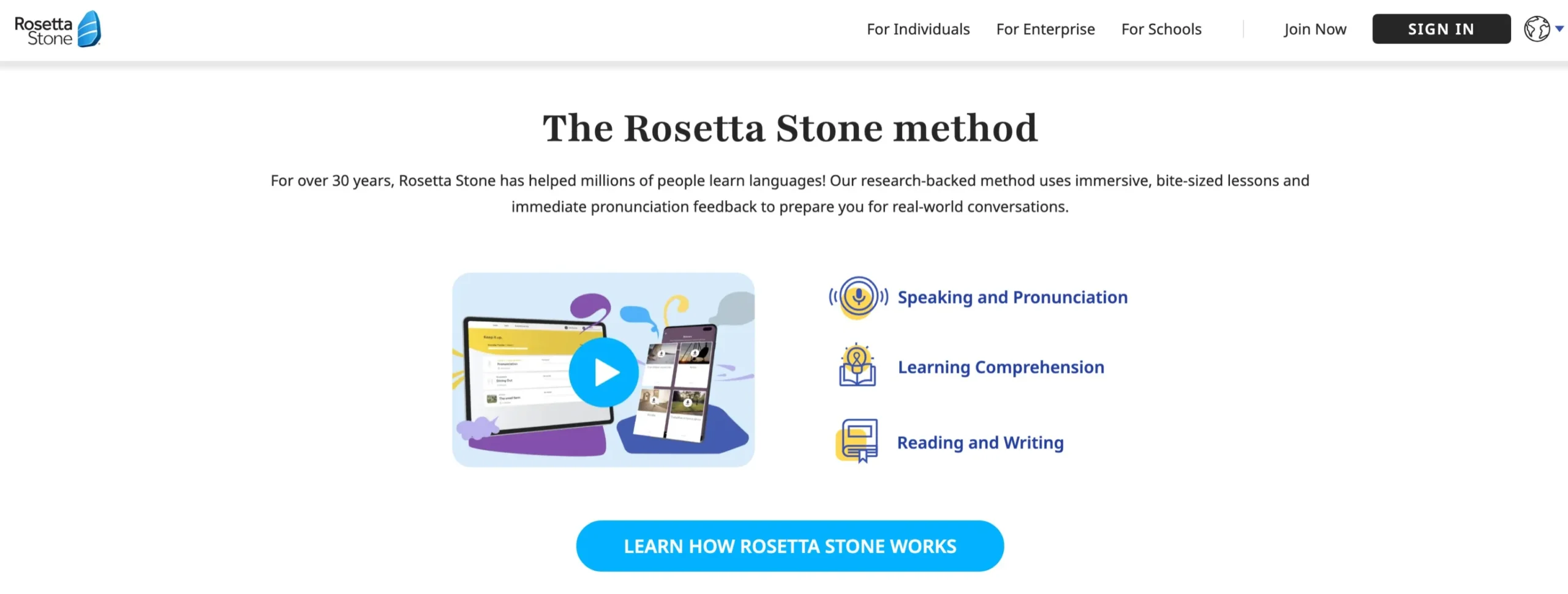 How Does Rosetta Stone Work?