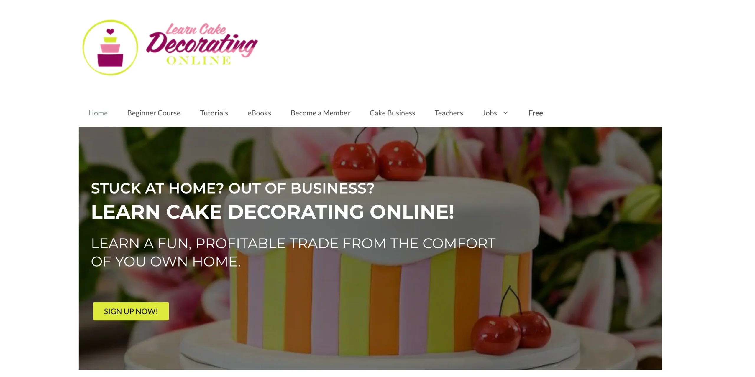 Learn Cake Decorating Online 