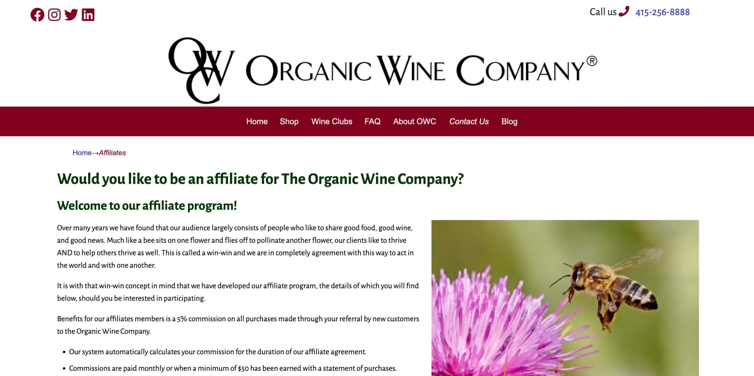 The Organic Wine Firm