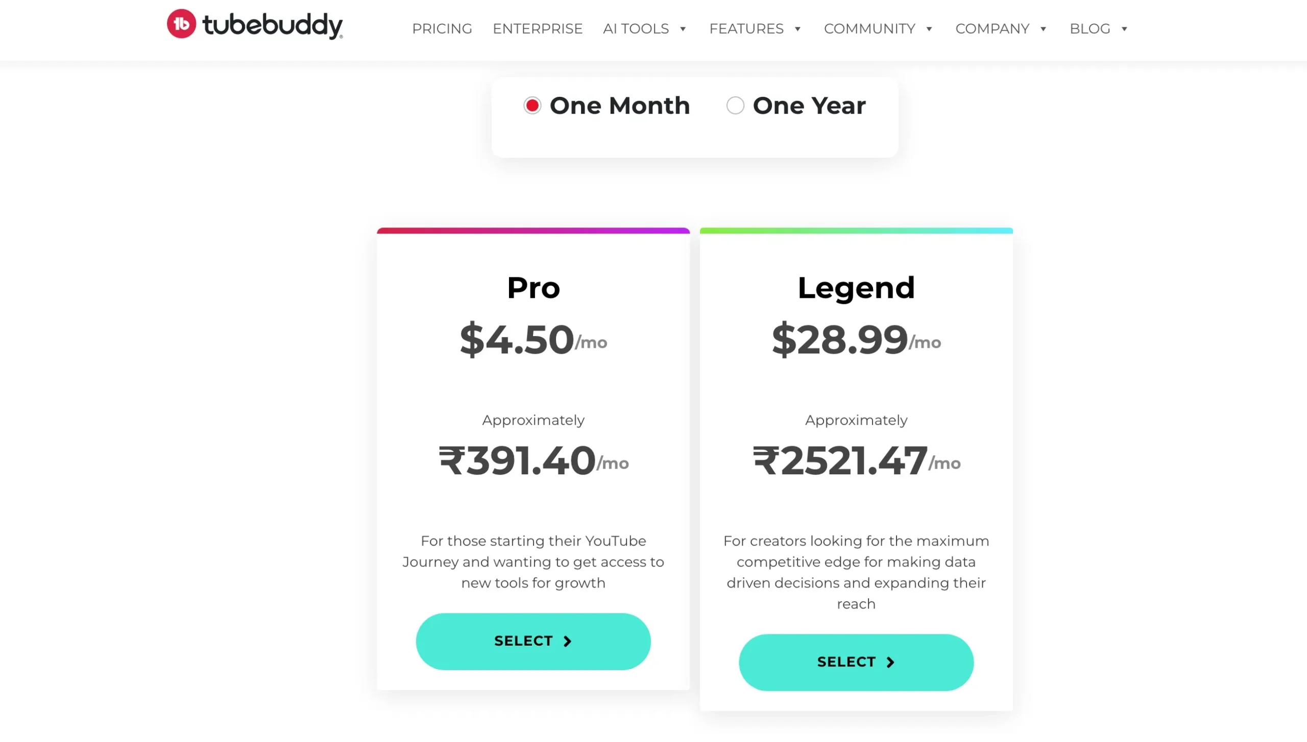 TubeBuddy Pricing Options - One Month